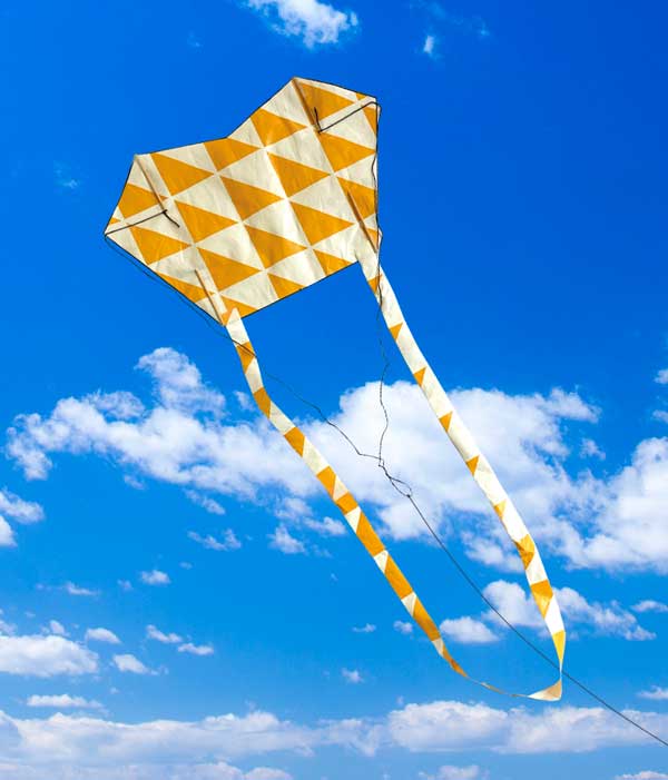 Kite